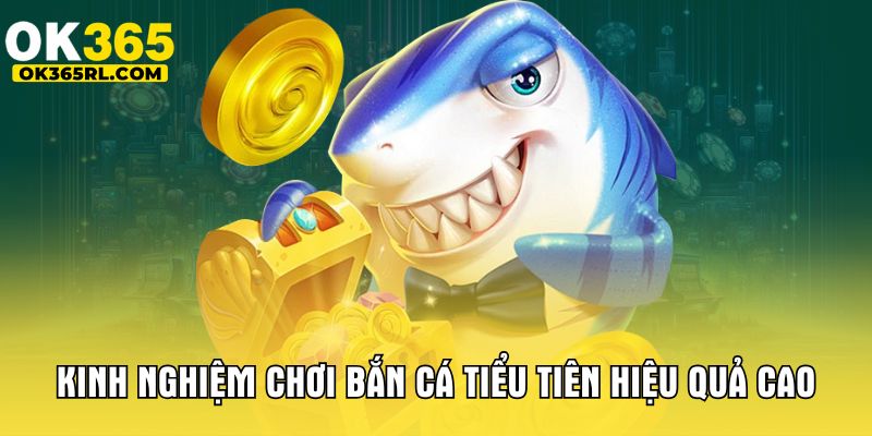 Kinh nghiệm chơi bắn cá tiểu tiên hiệu quả cao 